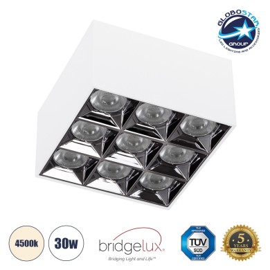 GLOBOSTAR® LUMINAR 60338 Downlight Σποτ LED 30W 4200lm 36° AC 220-240V IP20 Φυσικό Λευκό 4500K - Osram SMD Chip & TÜV SÜD Driver - Λευκό Ματ - Μ12 x Π12 x Υ6.6cm - 5 Χρόνια Εγγύηση